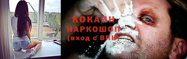 дмт Аркадак
