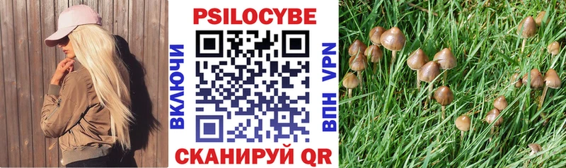 MEGA вход  Суровикино  Псилоцибиновые грибы Cubensis  купить наркотики сайты 